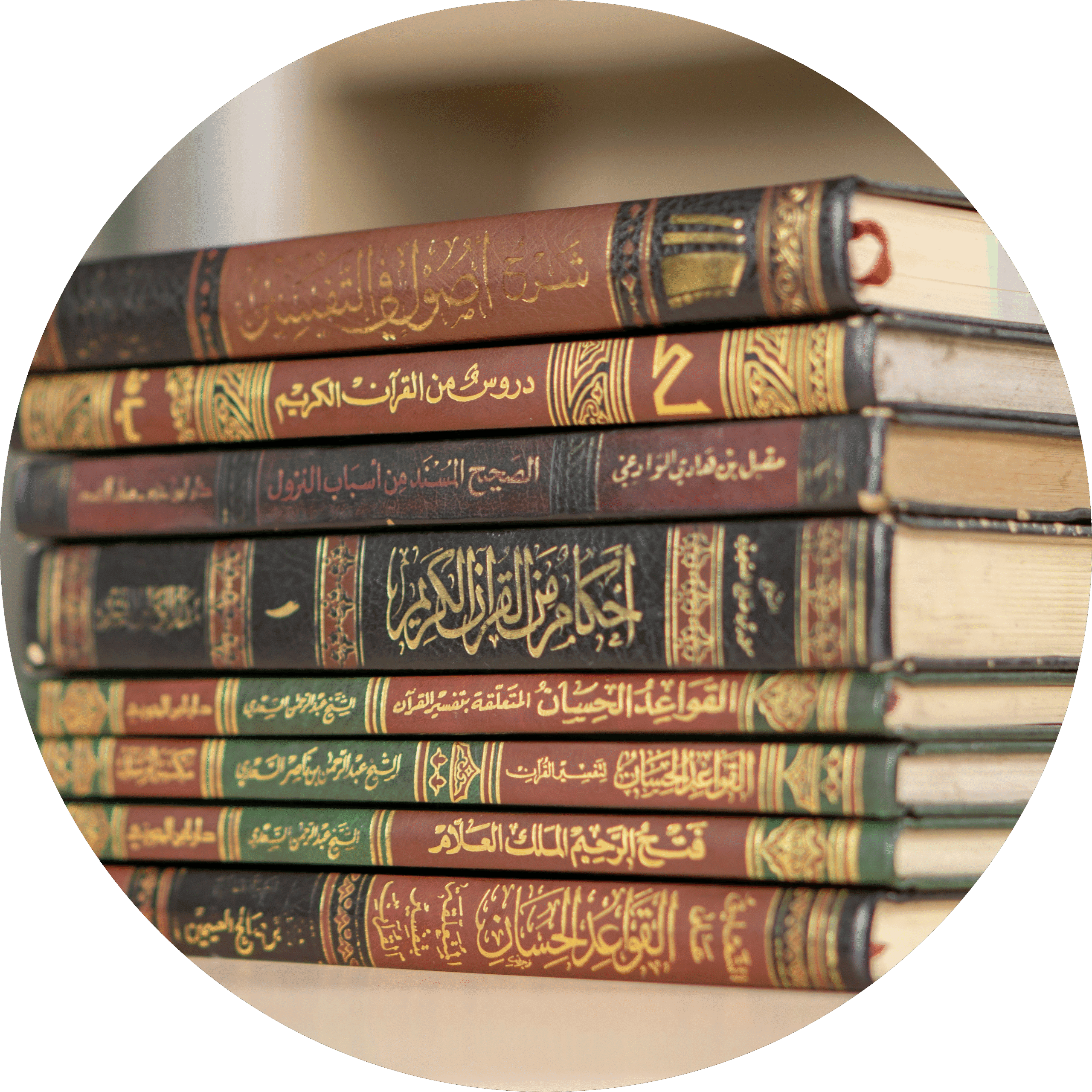 Basic Islamic Studies (Sunnah)